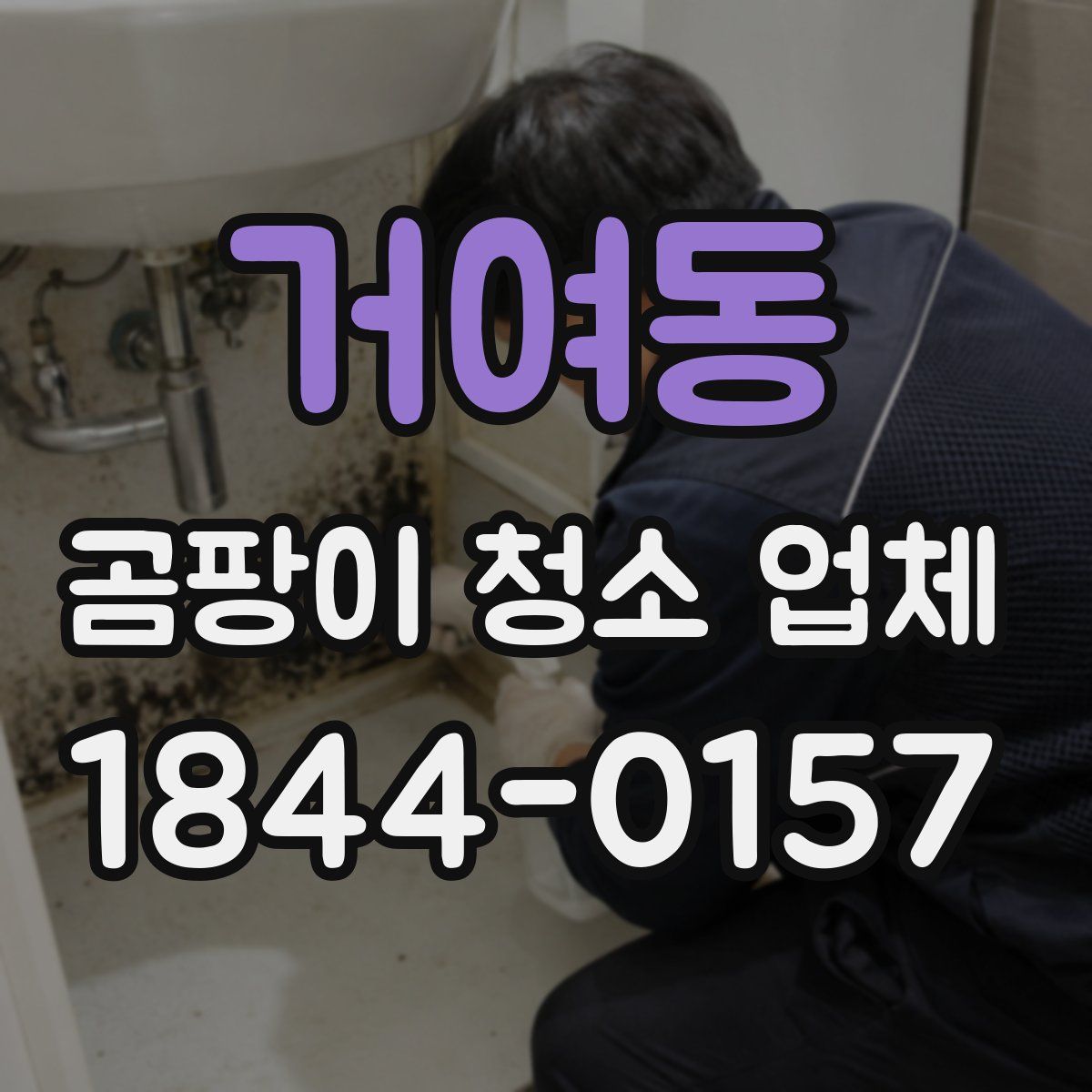 거여동 곰팡이 청소 업체