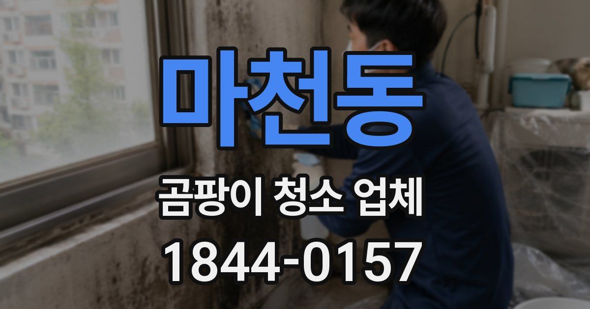 마천동 곰팡이 청소 업체