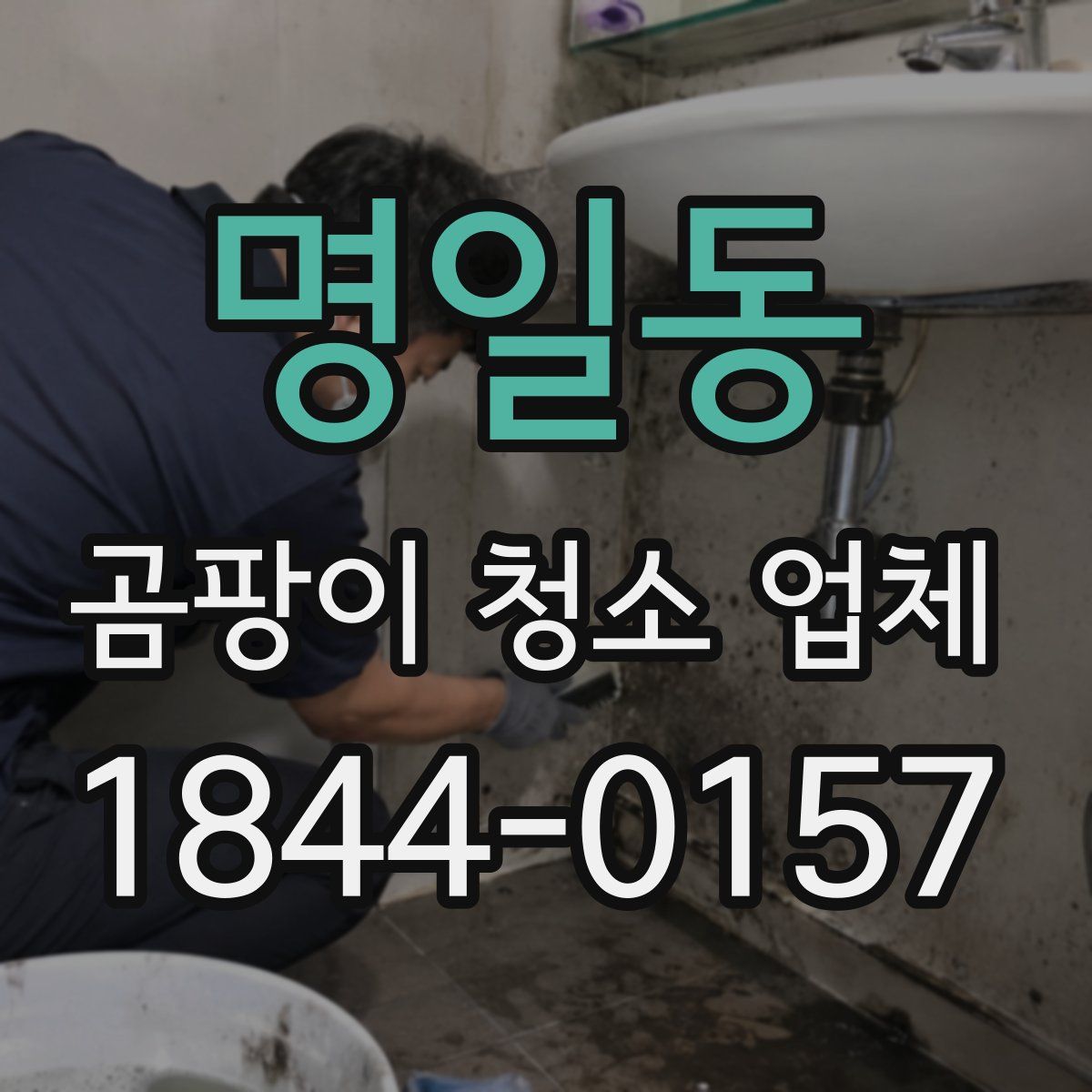 명일동 곰팡이 청소 업체