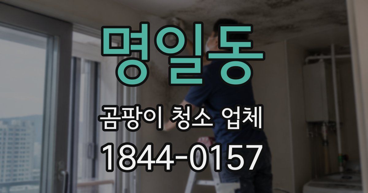 명일동 곰팡이 청소 업체