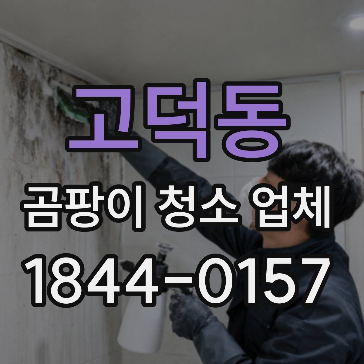 고덕동 곰팡이 청소 업체 번식 환경을 막는 실내 습도 관리법