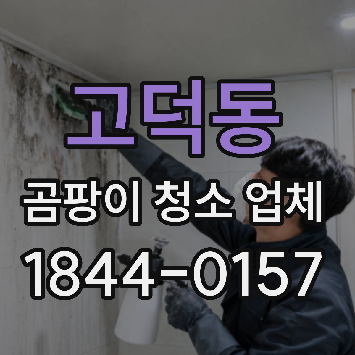 고덕동 곰팡이 청소 업체