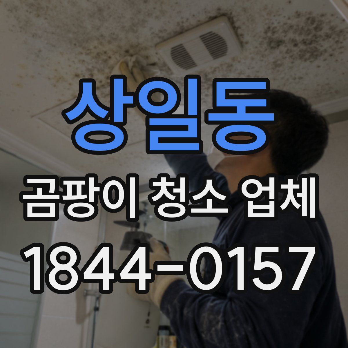 상일동 곰팡이 청소 업체