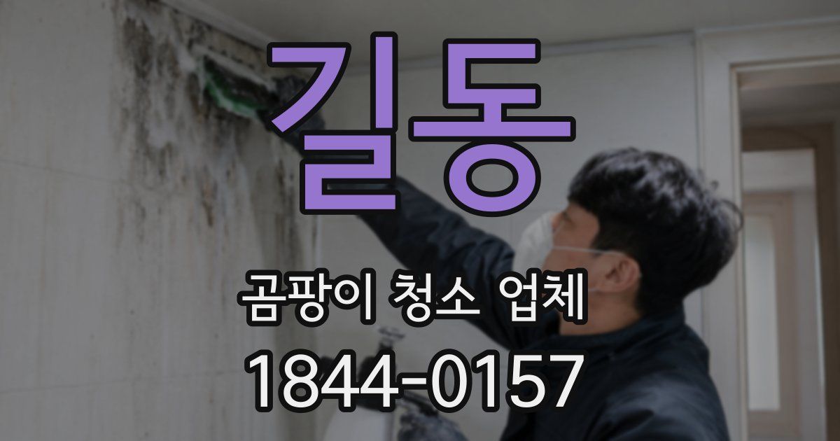 길동 곰팡이 청소 업체