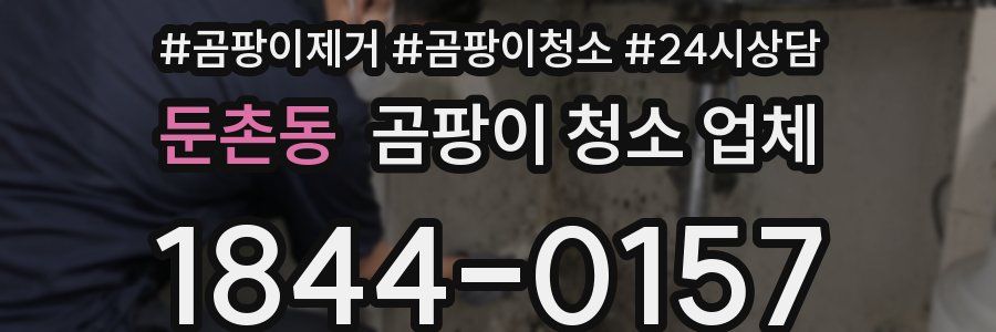둔촌동 곰팡이 청소 업체