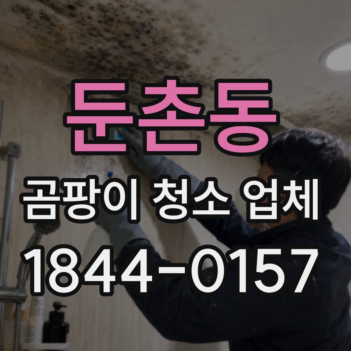 둔촌동 곰팡이 청소 업체
