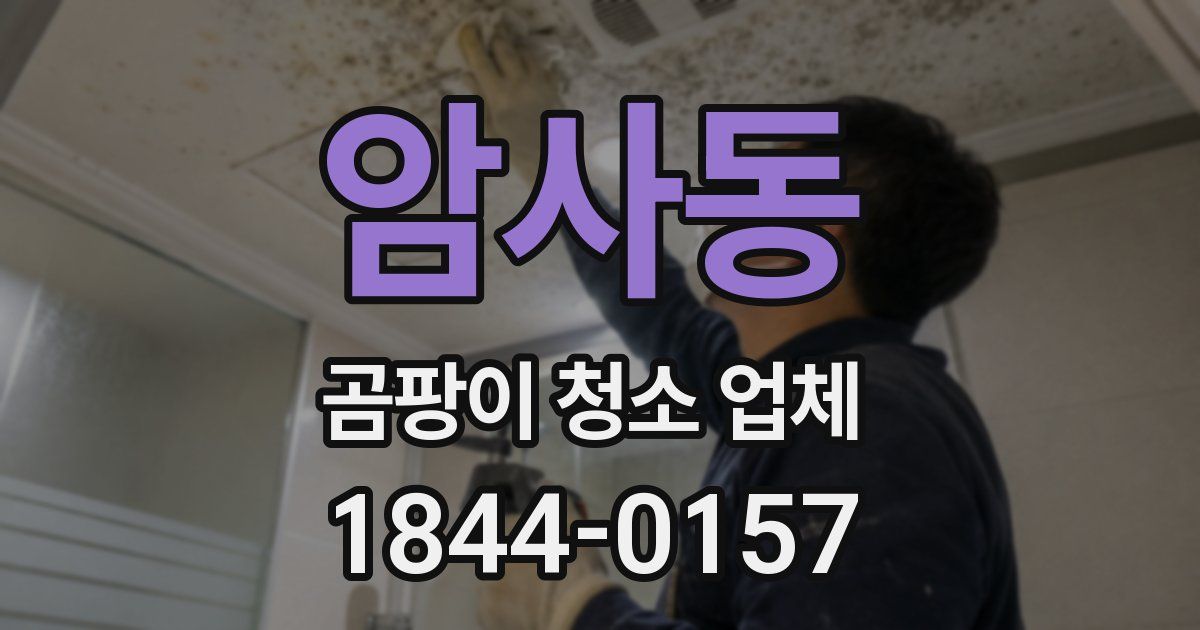 암사동 곰팡이 청소 업체