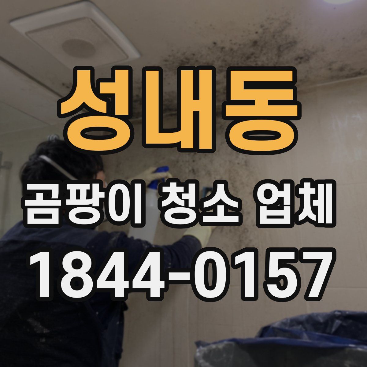 성내동 곰팡이 청소 업체