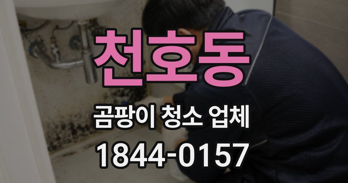 천호동 곰팡이 청소 업체