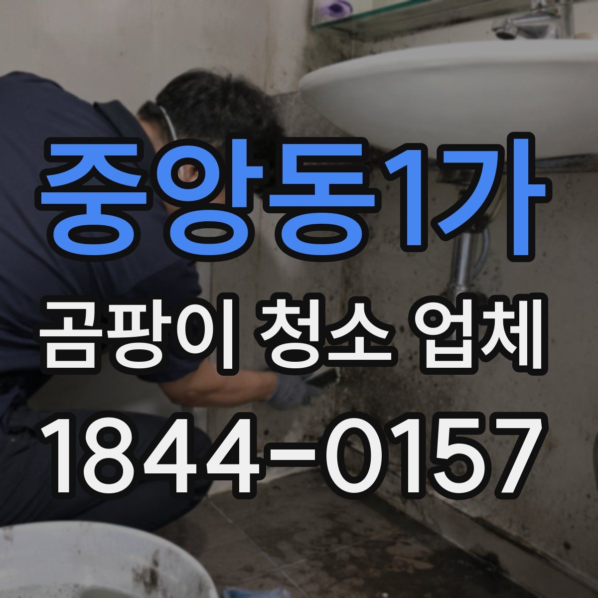 중앙동1가 곰팡이 청소 업체