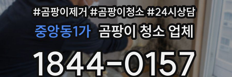 중앙동1가 곰팡이 청소 업체