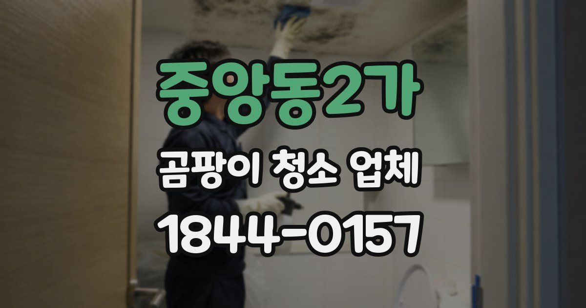 중앙동2가 곰팡이 청소 업체