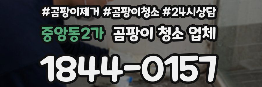 중앙동2가 곰팡이 청소 업체