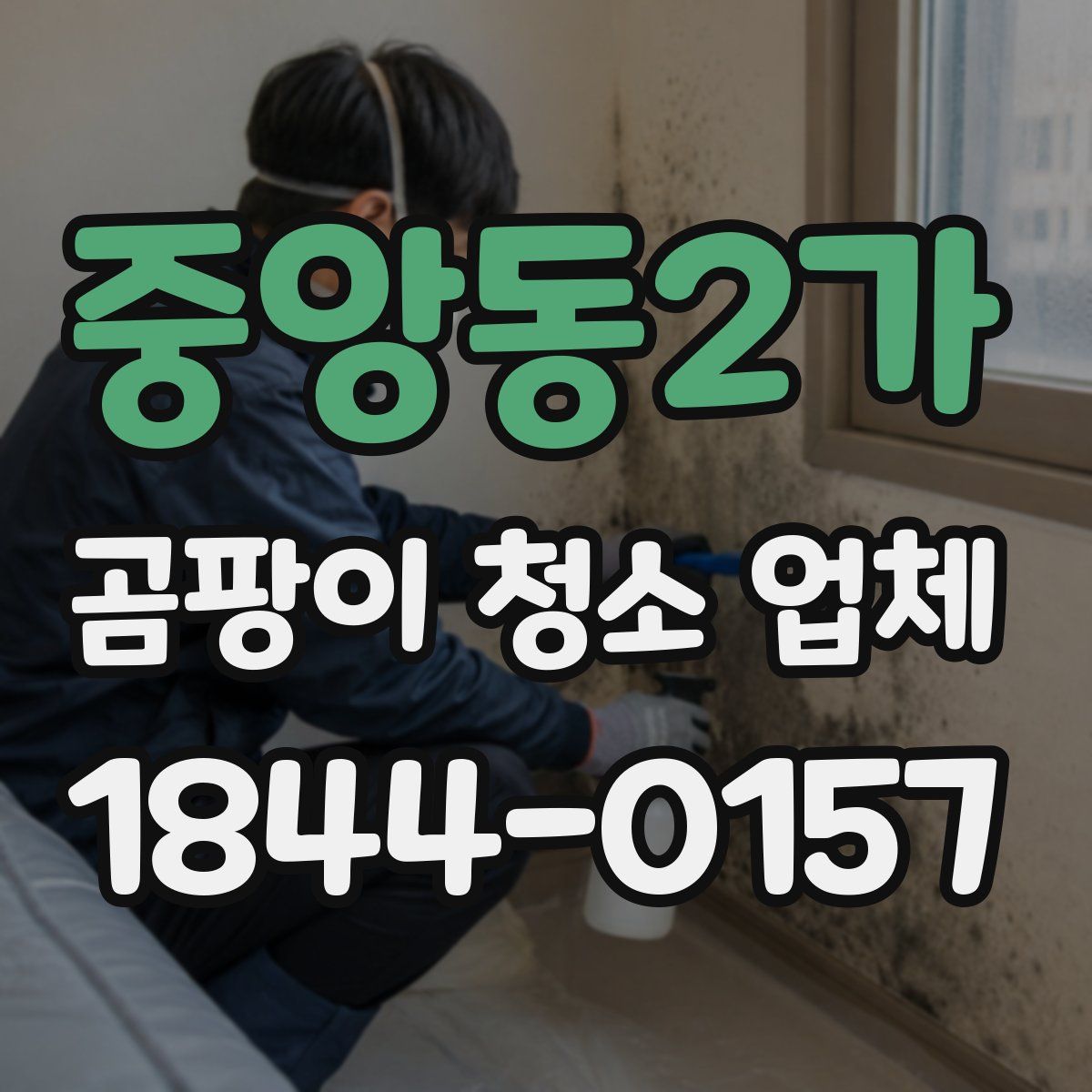 중앙동2가 곰팡이 청소 업체
