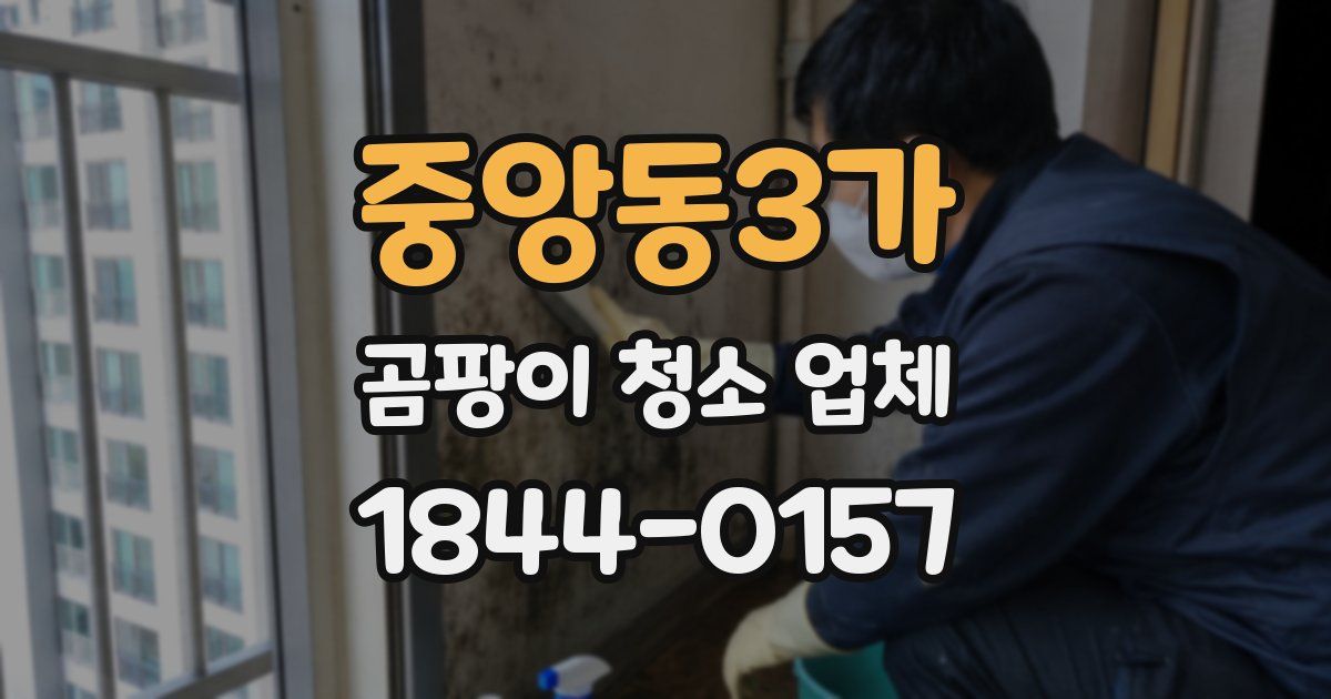 중앙동3가 곰팡이 청소 업체