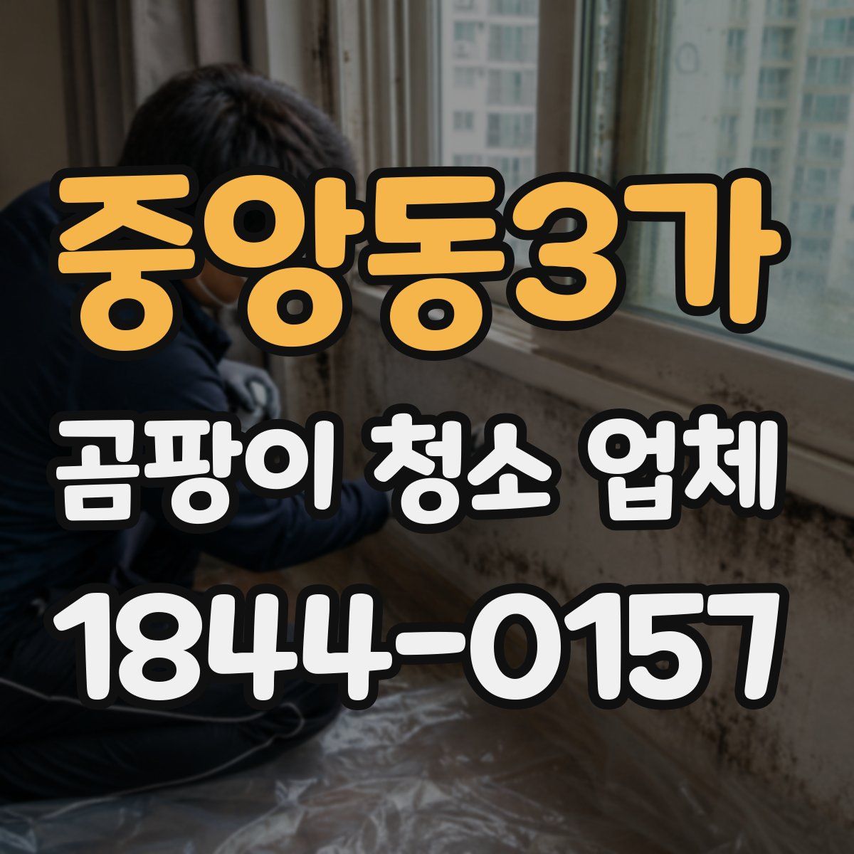 중앙동3가 곰팡이 청소 업체
