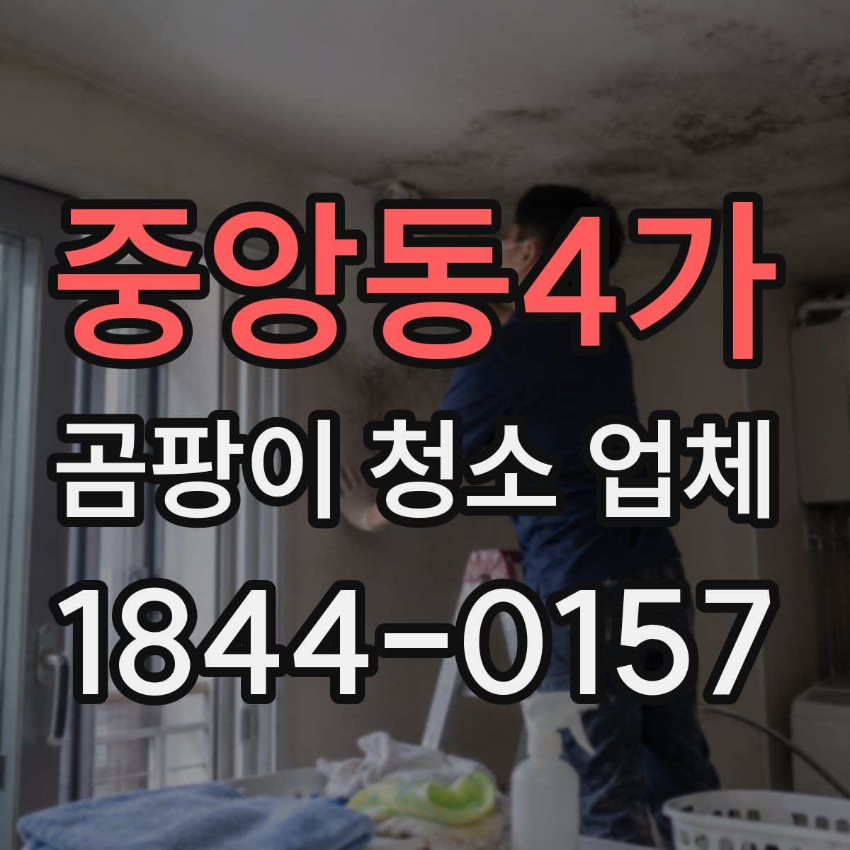 중앙동4가 곰팡이 청소 업체 알레르기 민감 가정이 먼저 볼 점검 항목