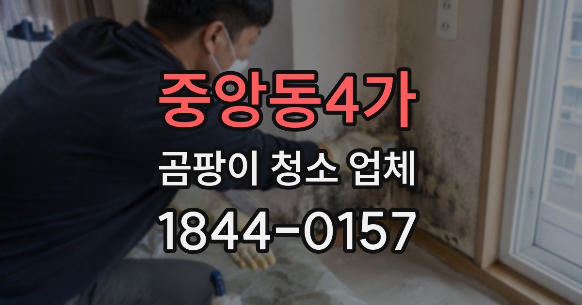 중앙동4가 곰팡이 청소 업체
