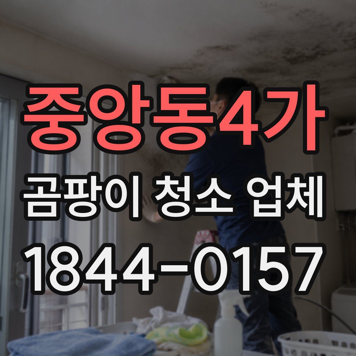 중앙동4가 곰팡이 청소 업체