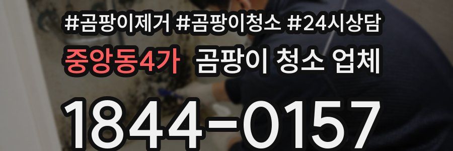 중앙동4가 곰팡이 청소 업체