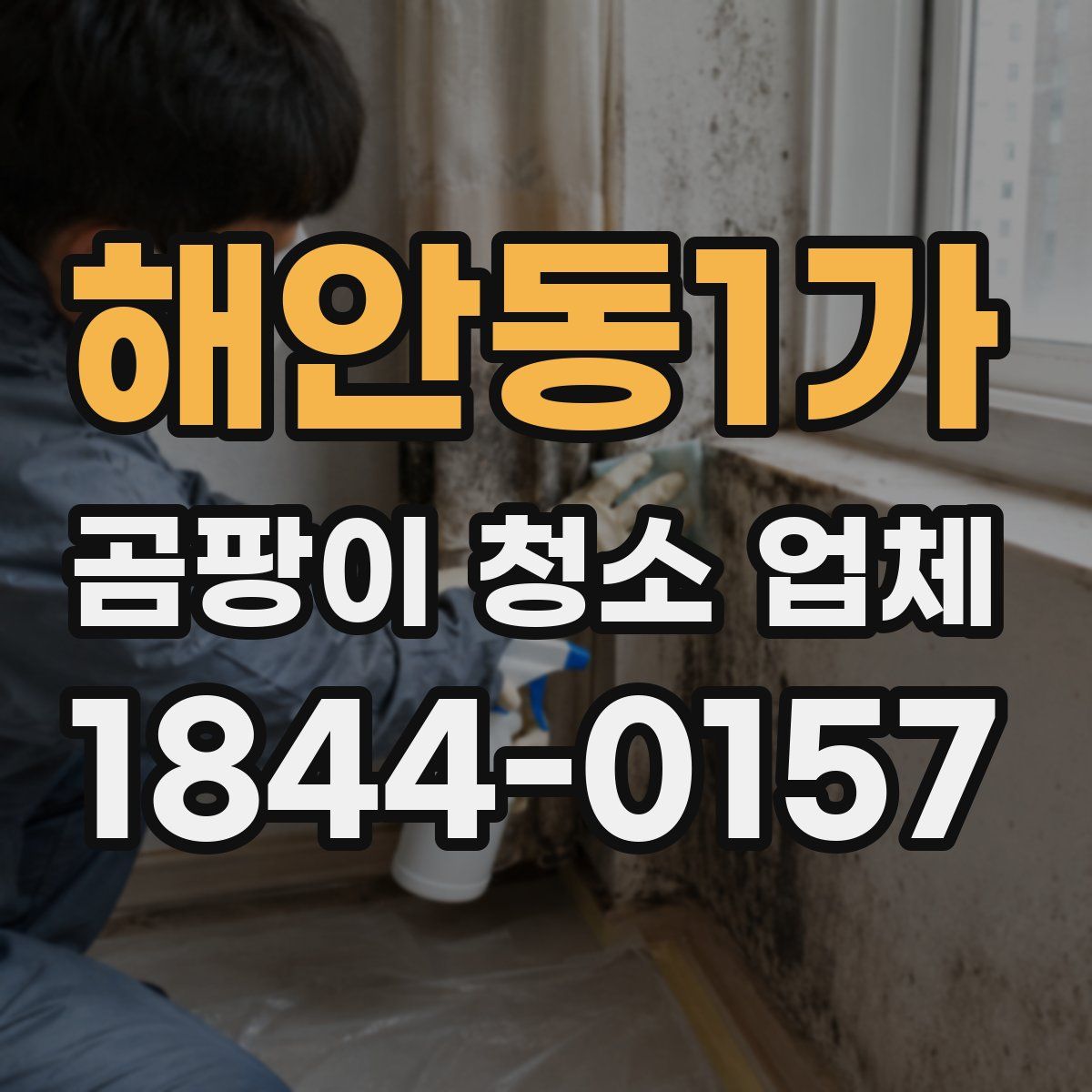 해안동1가 곰팡이 청소 업체