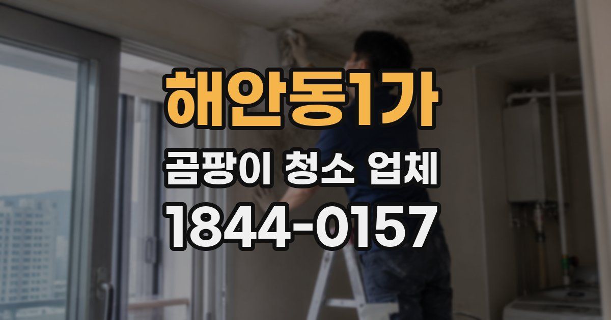 해안동1가 곰팡이 청소 업체