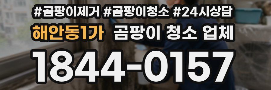 해안동1가 곰팡이 청소 업체