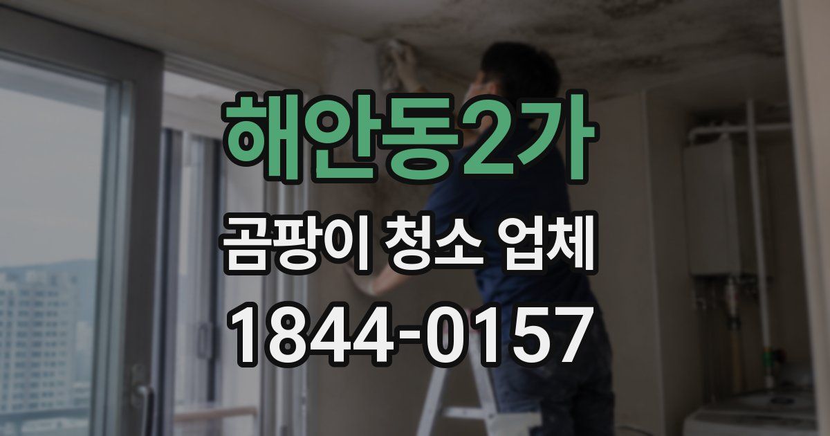 해안동2가 곰팡이 청소 업체