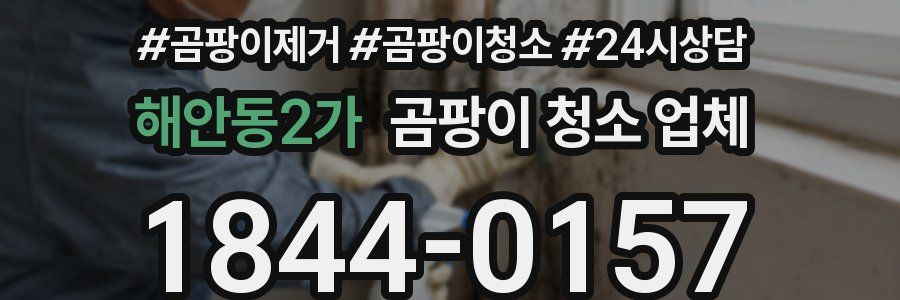 해안동2가 곰팡이 청소 업체