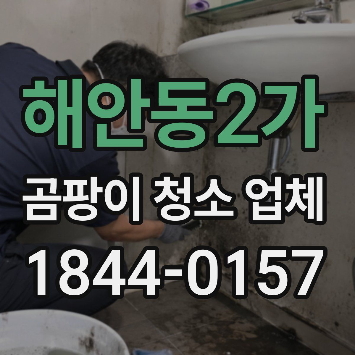 해안동2가 곰팡이 청소 업체