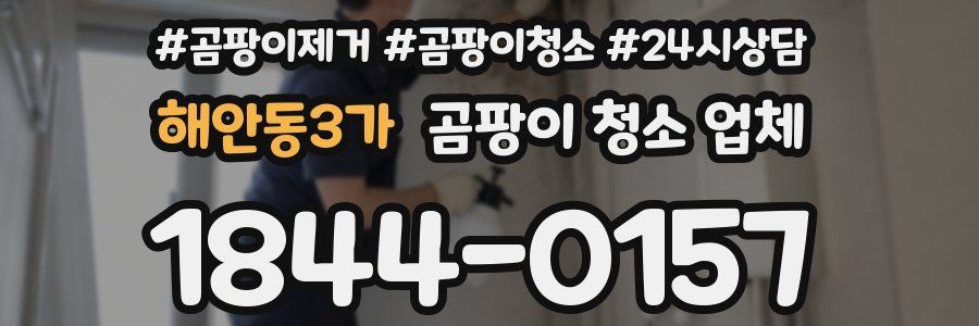 해안동3가 곰팡이 청소 업체