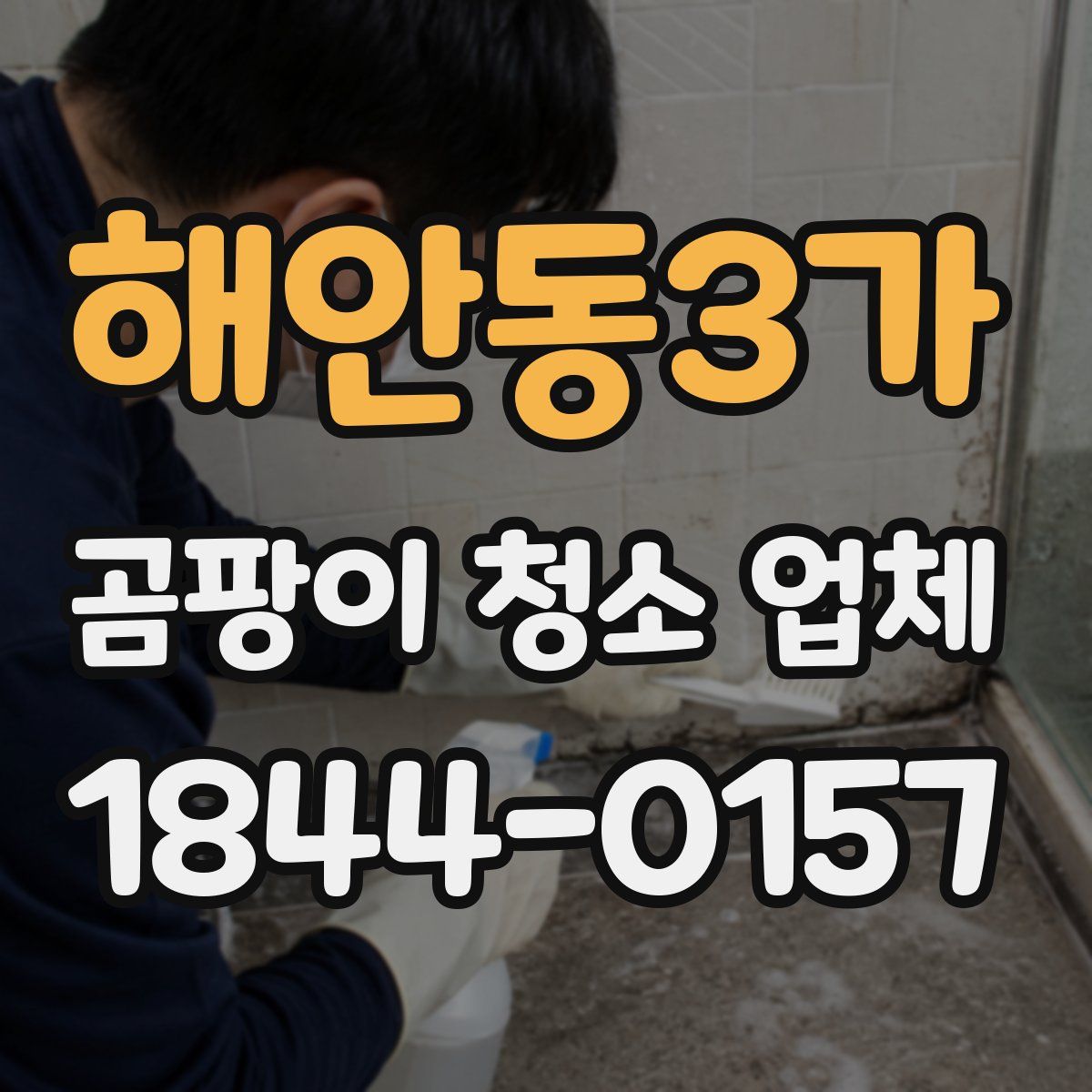 해안동3가 곰팡이 청소 업체