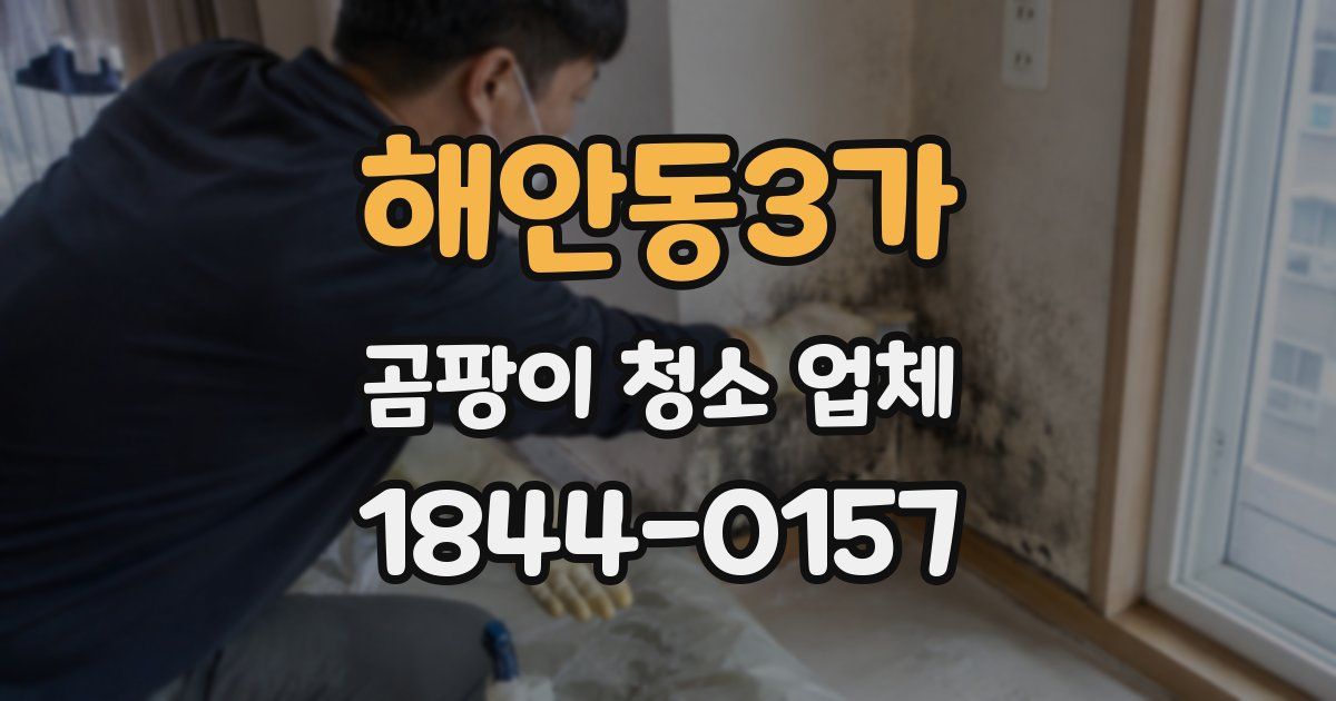 해안동3가 곰팡이 청소 업체
