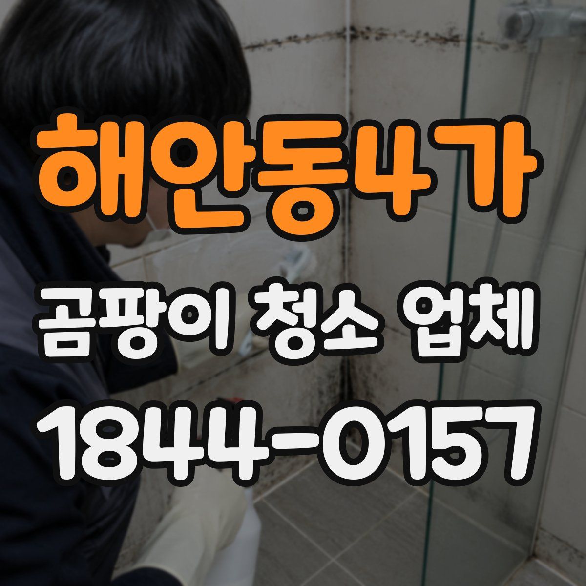 해안동4가 곰팡이 청소 업체