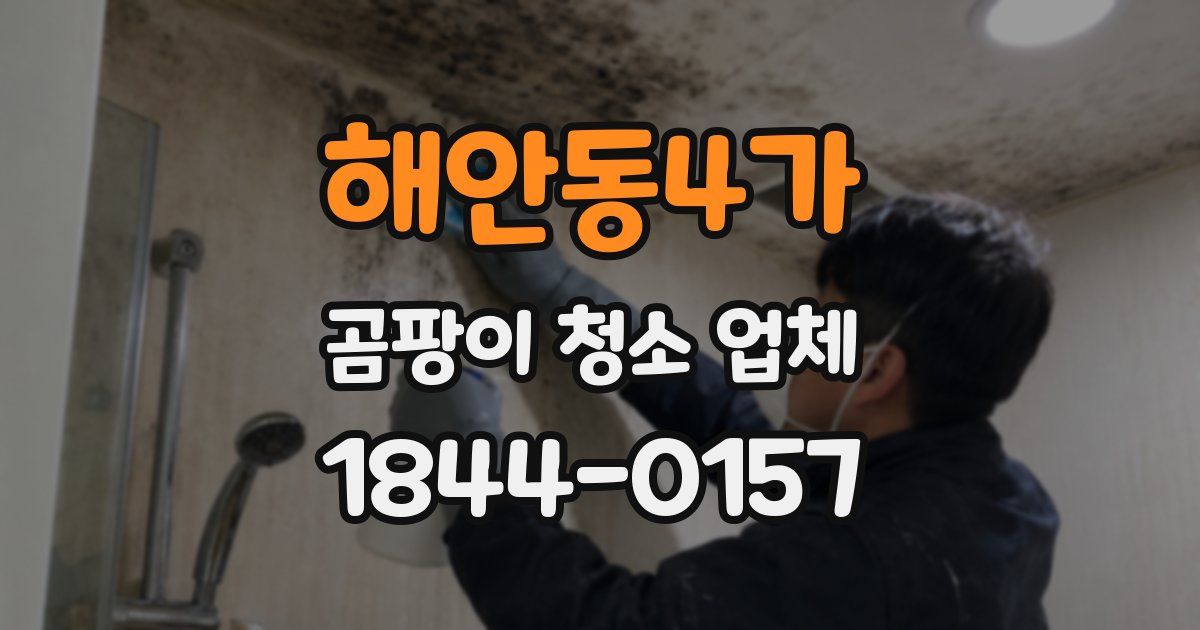 해안동4가 곰팡이 청소 업체