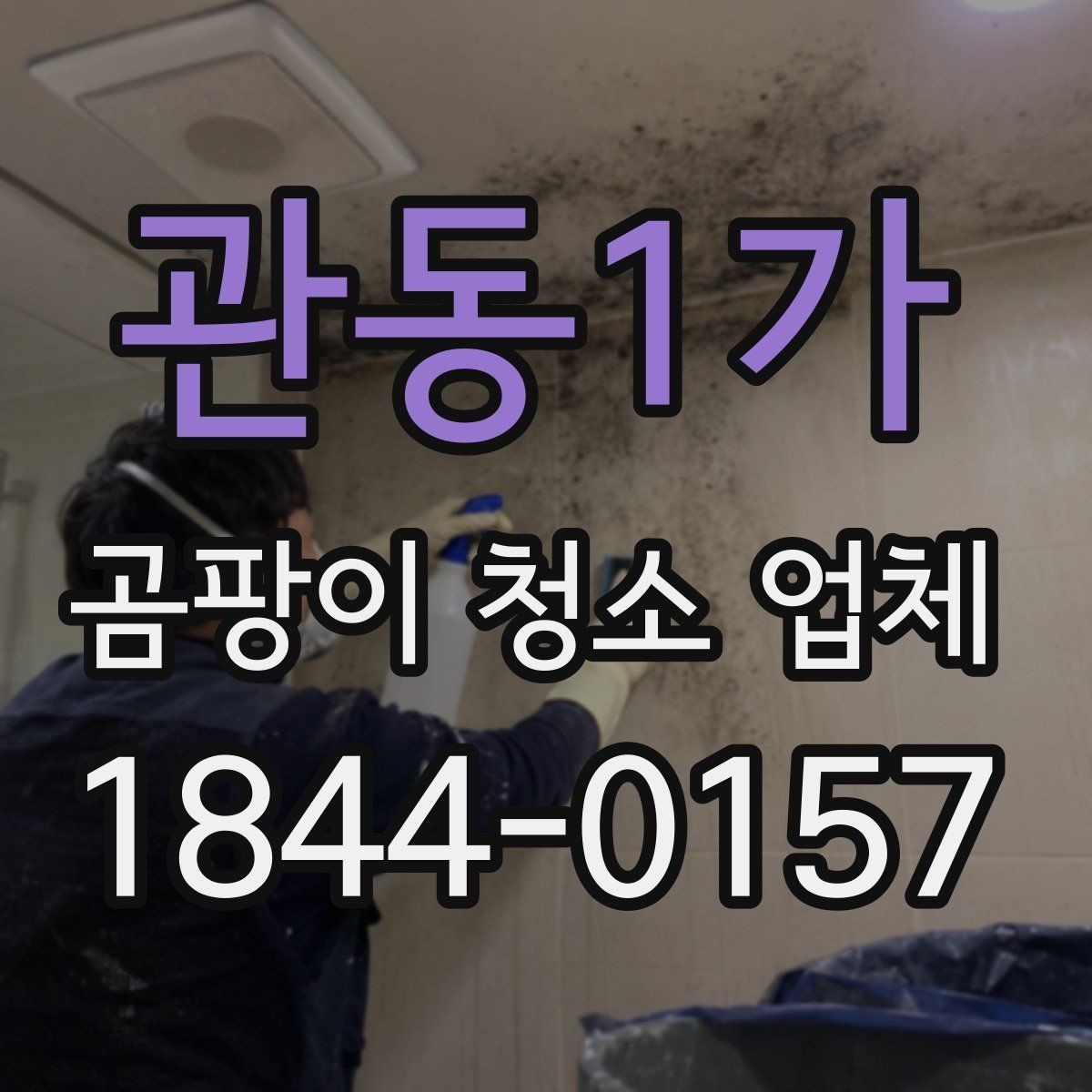 관동1가 곰팡이 청소 업체 붙박이장 뒤 숨은 오염 점검 포인트