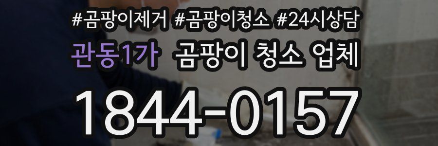 관동1가 곰팡이 청소 업체