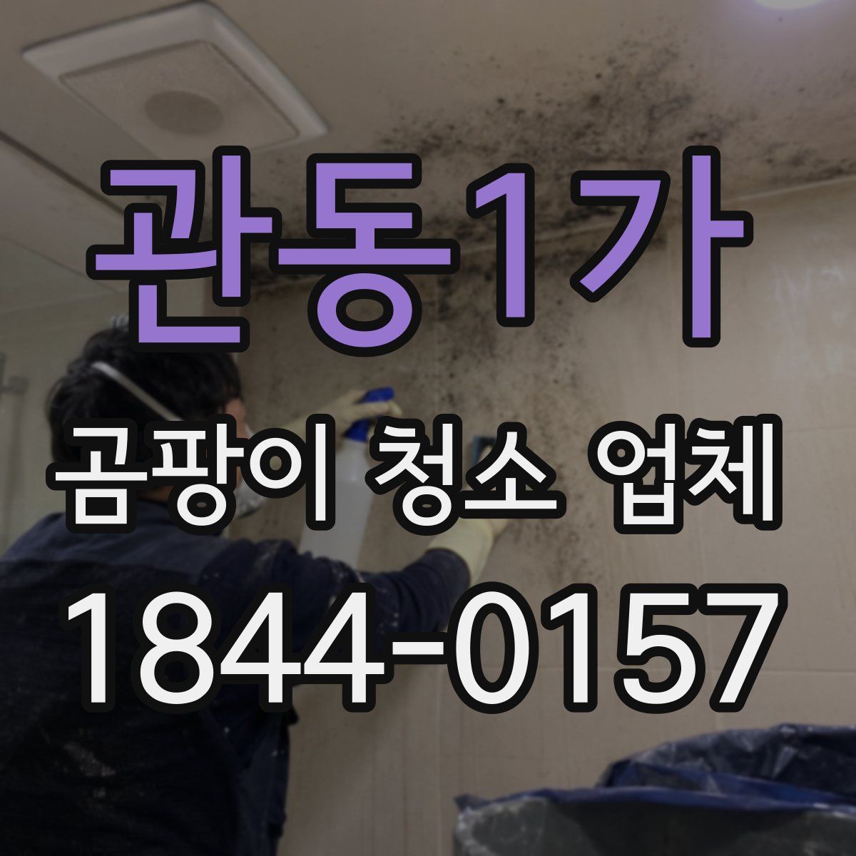 관동1가 곰팡이 청소 업체