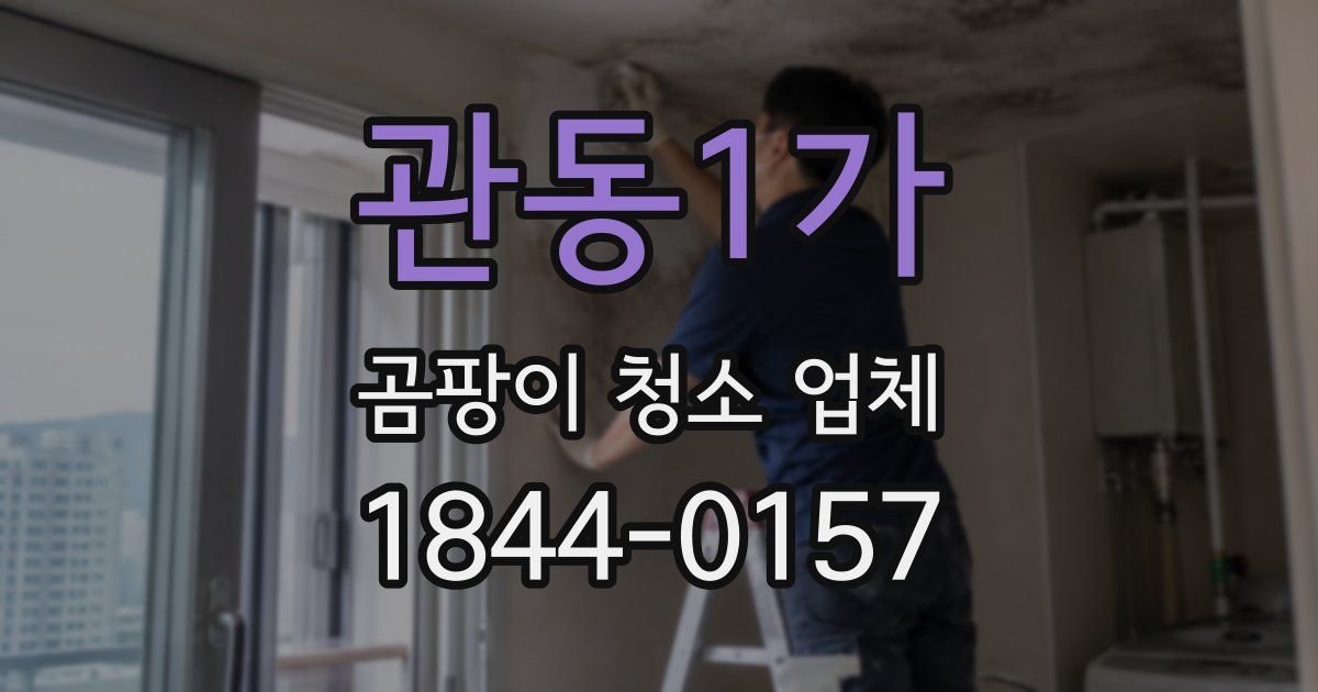 관동1가 곰팡이 청소 업체