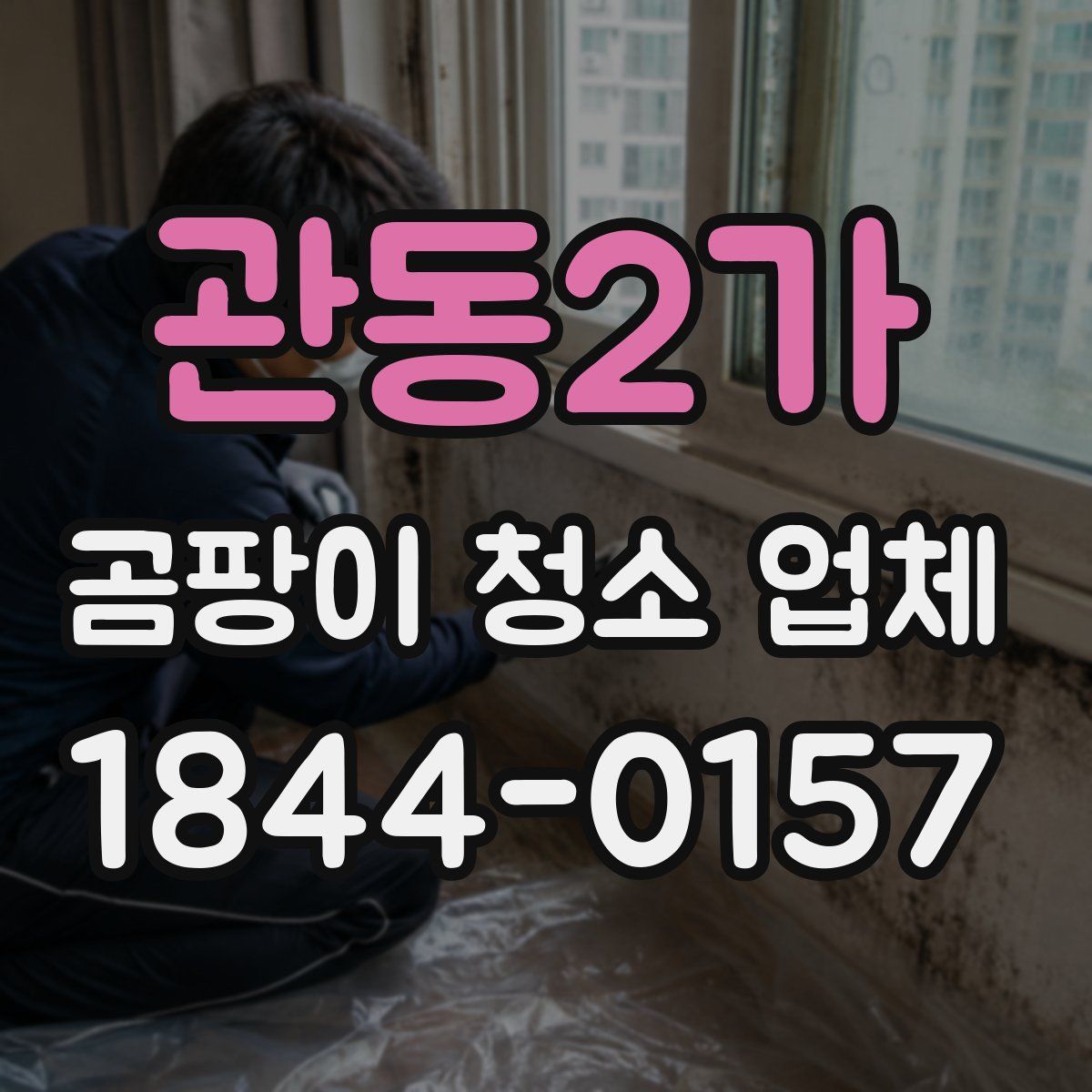 관동2가 곰팡이 청소 업체
