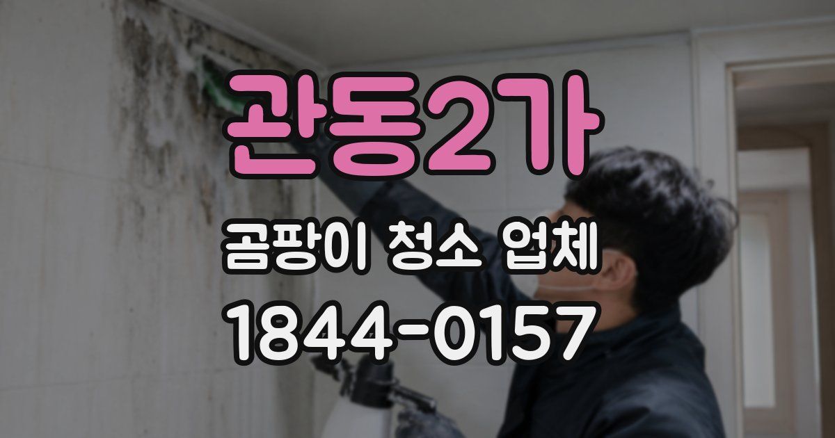 관동2가 곰팡이 청소 업체