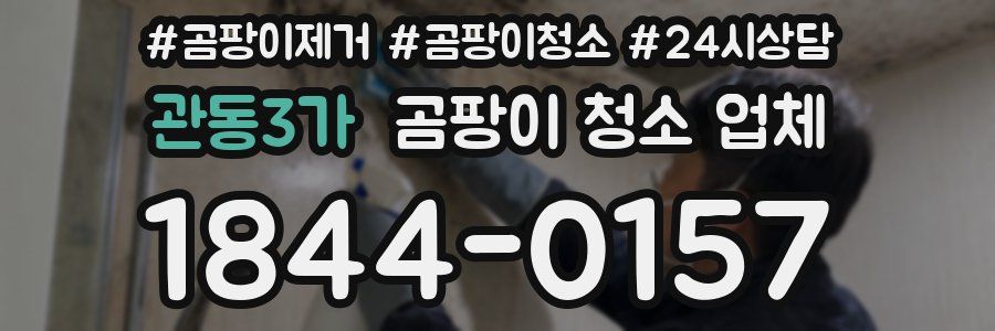 관동3가 곰팡이 청소 업체
