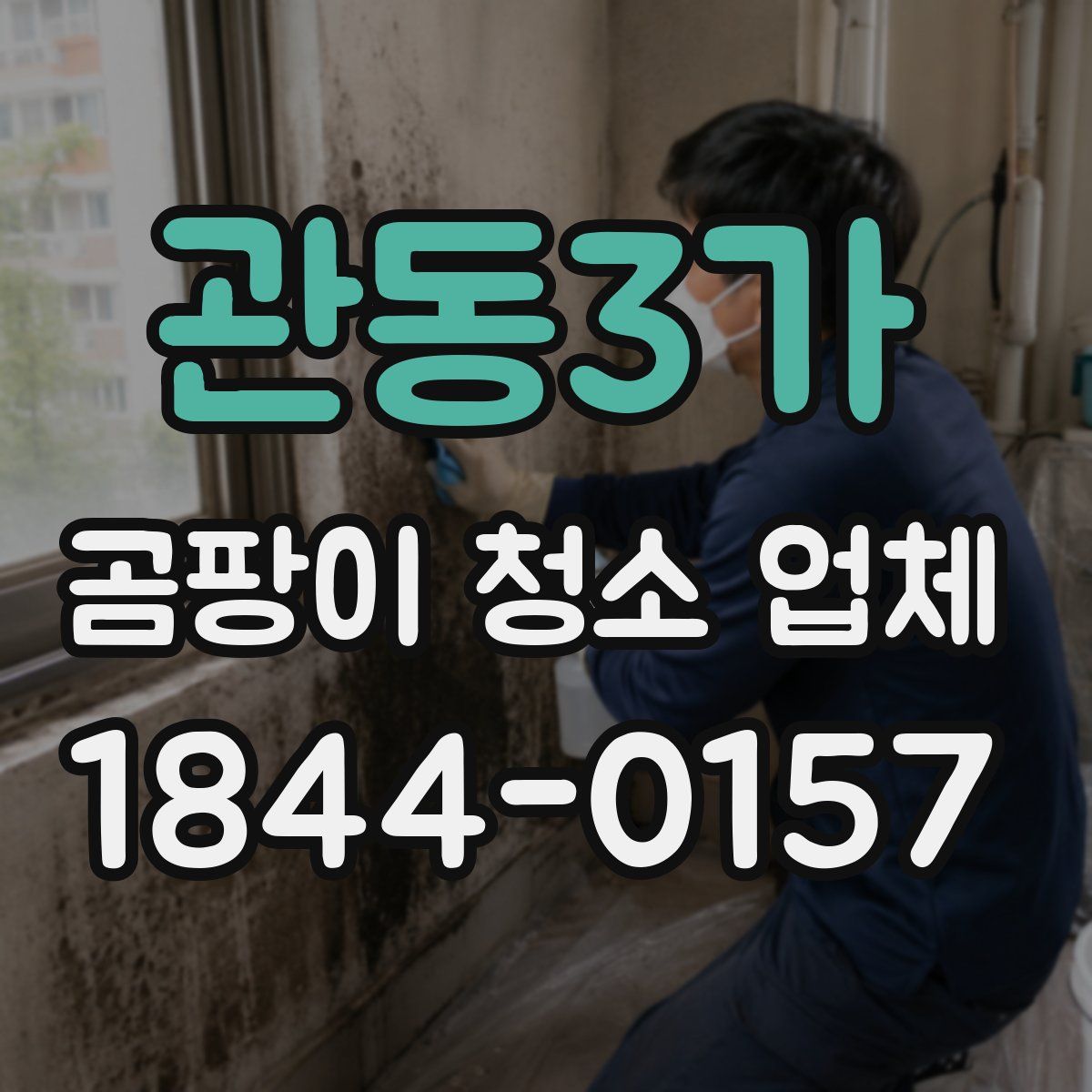 관동3가 곰팡이 청소 업체