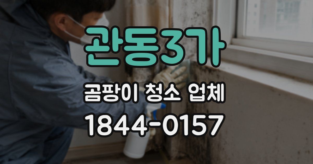관동3가 곰팡이 청소 업체