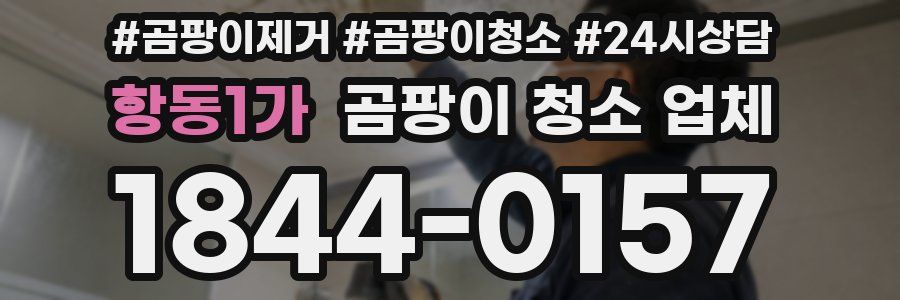 항동1가 곰팡이 청소 업체