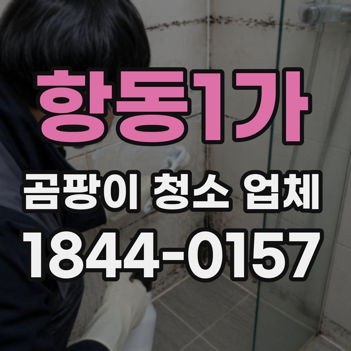 항동1가 곰팡이 청소 업체