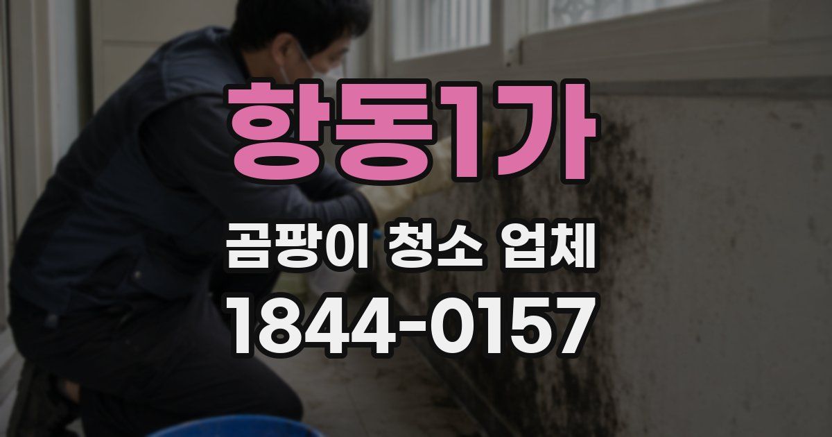 항동1가 곰팡이 청소 업체
