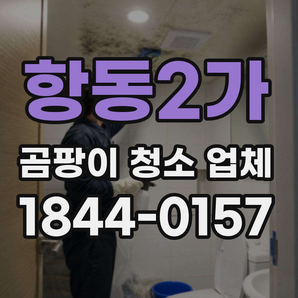 항동2가 곰팡이 청소 업체
