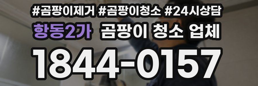항동2가 곰팡이 청소 업체