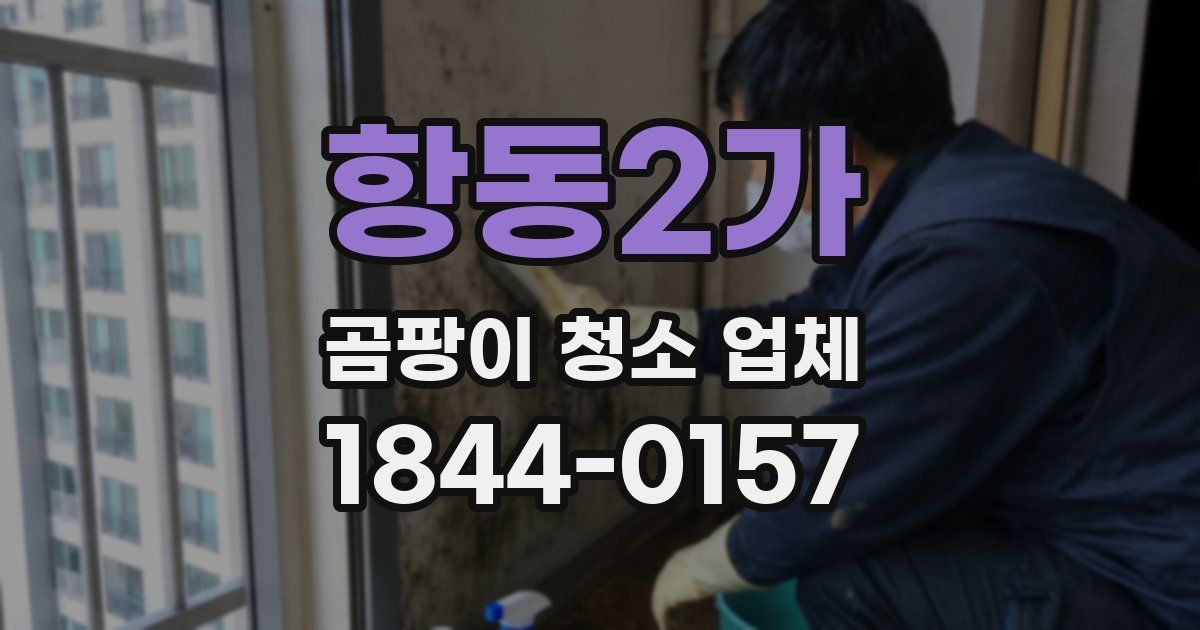 항동2가 곰팡이 청소 업체